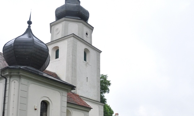 Mieszkańcy kościelnego poddasza