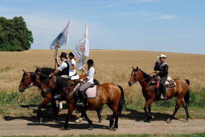 Konna pielgrzymka do Goja