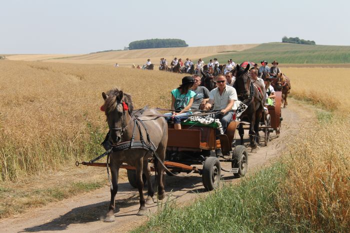 Konna pielgrzymka do Goja