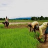 Bangladesz to bomba zegarowa