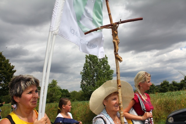 Pielgrzymka Świdnicka w drodze