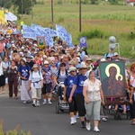 Pielgrzymka Świdnicka w drodze