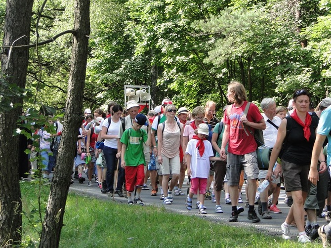 68. Pielgrzymka Rybnicka -dzień 3. - droga z Miasteczka Śl. do Miotka