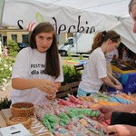 Krynica Zdrój. Festyn charytatywny