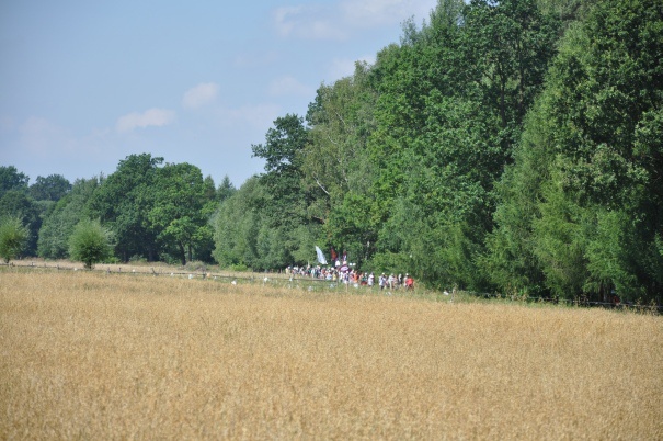 Przyroda na szlaku