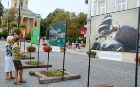 Wystawa pokazuje piękno dzikiej polskiej przyrody