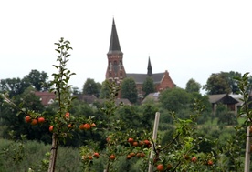 Dom na Górze