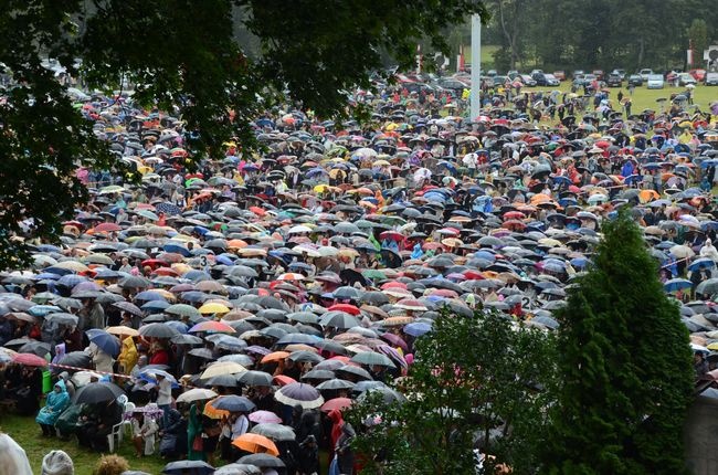 Uroczystości w Wąwolnicy