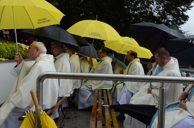 Uroczystości w Wąwolnicy