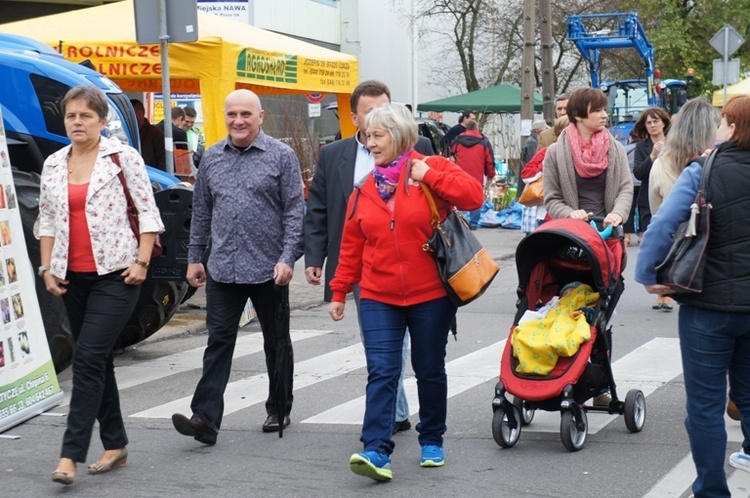 Skierniewickie Święto Kwiatów Owoców i Warzyw - 2013