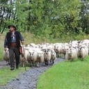 Finał Redyku Karpackiego w Rožnově pod Radhoštěm