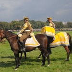 Rewia Kawalerii