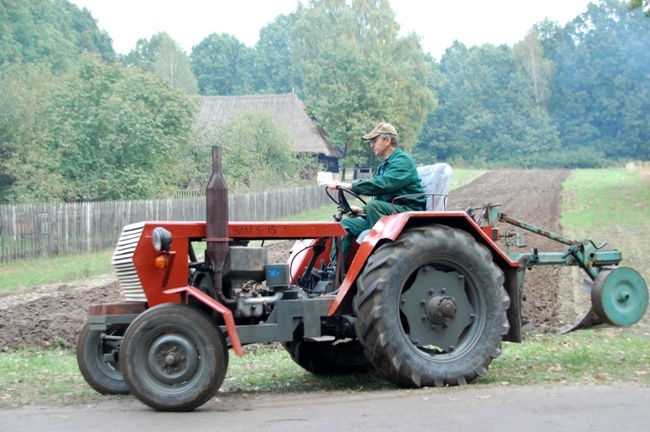 Ziemniak w roli głównej