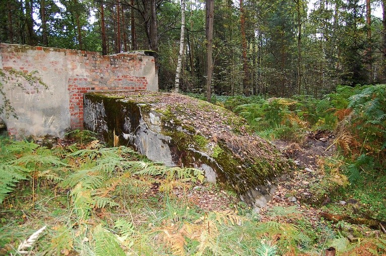 Zdążyć przed Barbórką