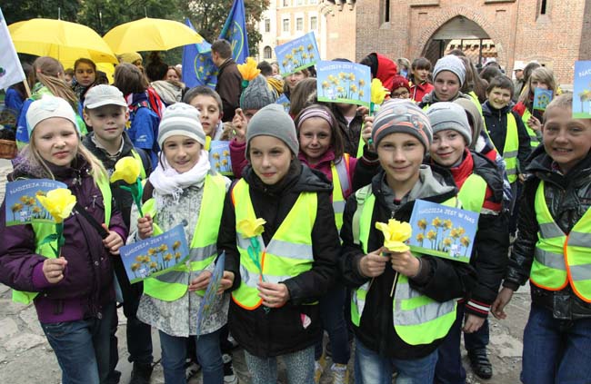 Żonkilowy Marsz Nadziei