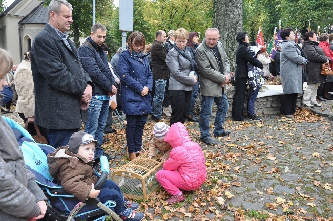 Pielgrzymka Hodowców Gołębi 2013