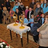 Peregrynacja w Powroźniku