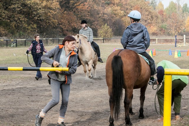 Sport w zasięgu ręki