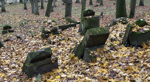 Cmentarz żydowski w Świdwinie