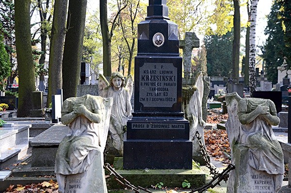  Czas zniszczył głowy aniołów na grobie proboszcza z Tarnogóry  