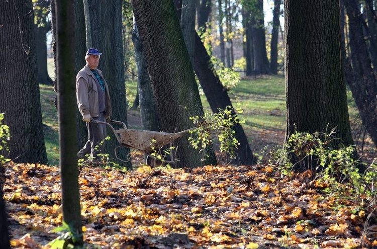 Ogród Saski po remoncie