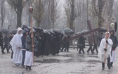 Droga Krzyżowa w byłym KL Birkenau