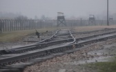 Droga Krzyżowa w byłym KL Birkenau