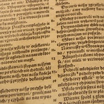 Biblia brzeska