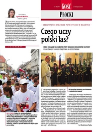 Płocki 46/2013