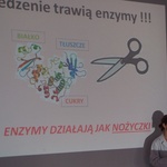 Edu Budzik w Krakowie