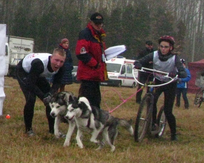Wyścig psich zaprzęgów w Mikołowie