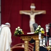 Franciszek na koniec Roku Wiary