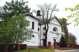 Cennym zabytkiem Radziejowic jest kościół, do którego prowadzi z pałacu zabytkowa aleja lipowa 