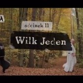 Wilk jeden