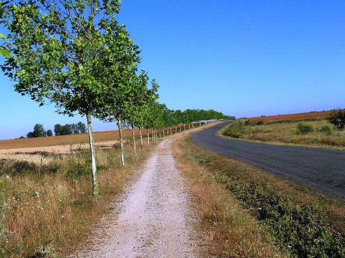 Camino Aragońskie i Francuskie