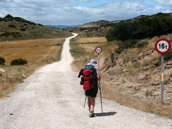 Camino Aragońskie i Francuskie