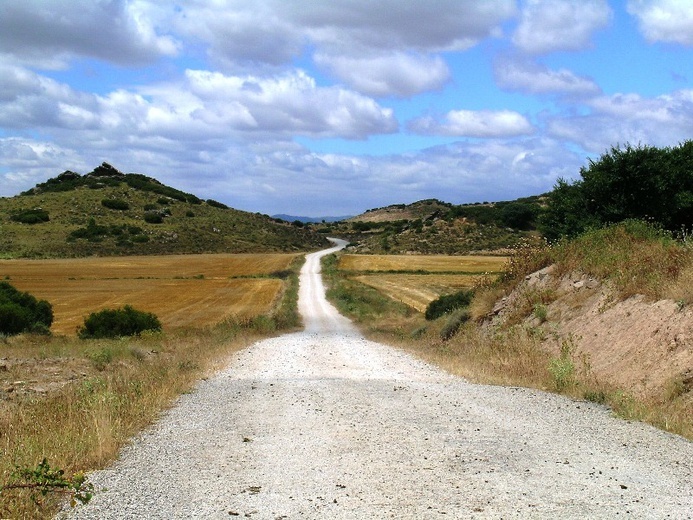 Camino Aragońskie i Francuskie