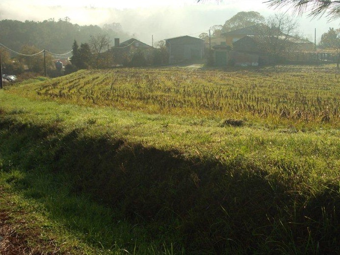 Camino Fonseca