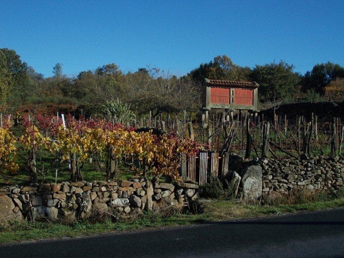 Camino Fonseca