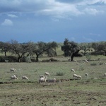 Camino La Plata