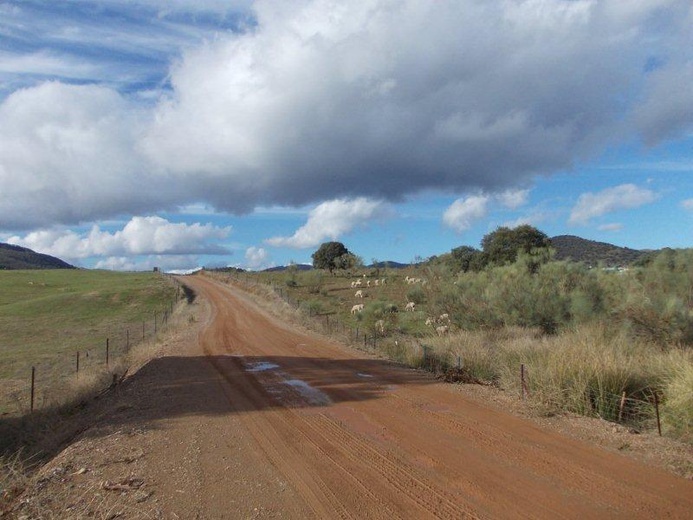 Camino La Plata