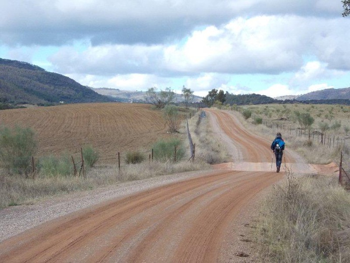 Camino La Plata