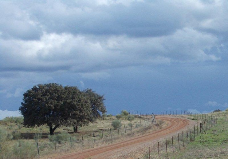 Camino La Plata