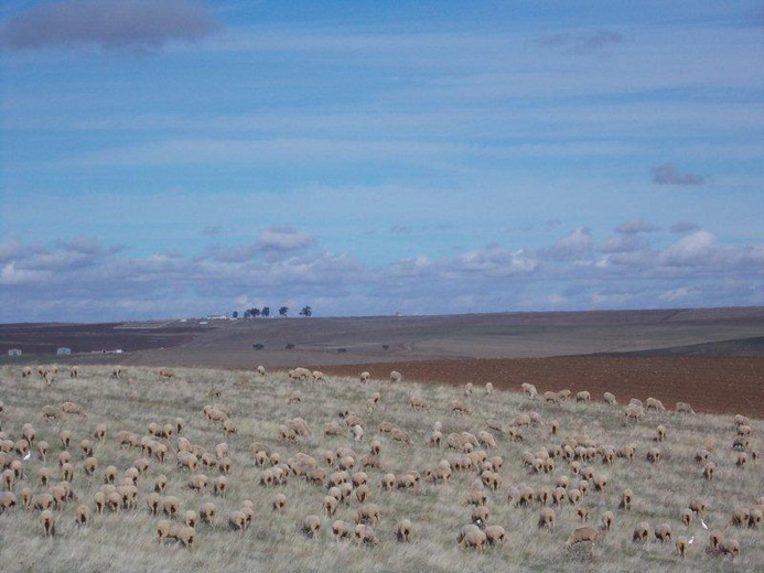 Camino La Plata