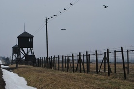 Obóz zaczął funcjonować w 1941 roku