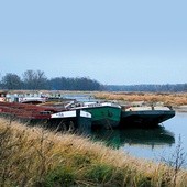 Transport na Odrze to coraz bardziej intratny interes zarówno dla przedsiębiorstw żeglugowych, jak i dla zleceniodawców. Co z tego, skoro rzeka od Wrocławia do granicy z Niemcami nie jest uregulowana. Oznacza to, że nawet niewielka powódź czy susza paraliżują żeglugę na Odrze 