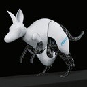 Bionic Kangaroo 