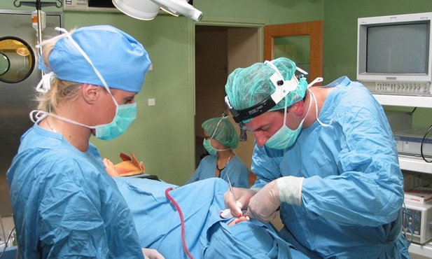 Najbardziej efektywną służbę zdrowia ma…