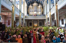  Tysiące prawdziwych  gałązek palmowych trafi  do oławskich rodzin