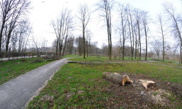 Park im. Jana Pawła II w Kraśniku